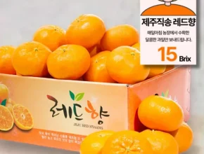 가성비최고 귤로장생 제주 레드향 3.5kg1박스 추천상품