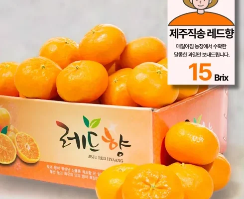 가성비최고 귤로장생 제주 레드향 3.5kg1박스 추천상품