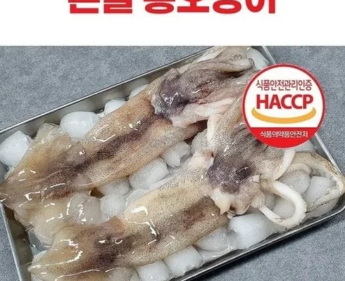 가성비최고 자연산 손질 통오징어 대사이즈 130g20마리  베스트5