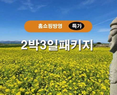 가성비최고 제주도 3박 4일 패키지 베스트5