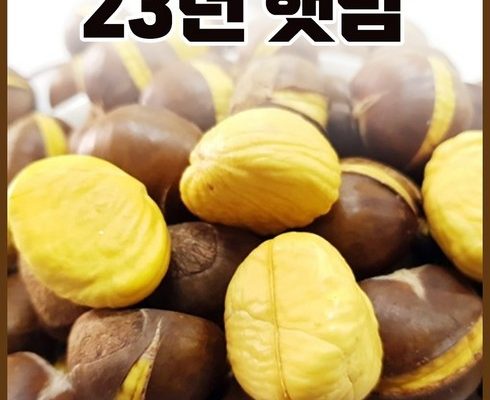 가성비최고 칼집약단밤 추천상품