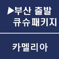 이번주 마지막할인  부산후쿠오카배 실시간 인기상품