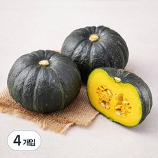 알뜰 쇼핑족 주목중 단호박 적극추천